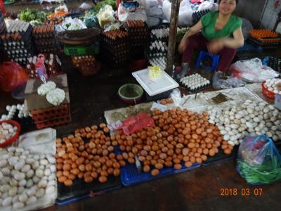 2018年ベトナム親孝行の旅11 13日目～14日目