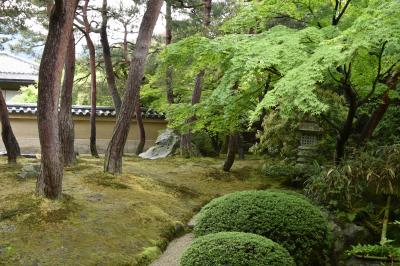 春の山陰旅は花と名園巡り（２日目）