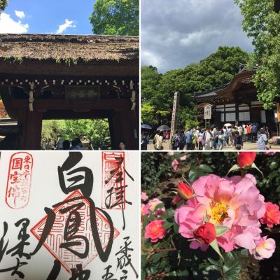 2018年5月GW 深大寺と神代植物園