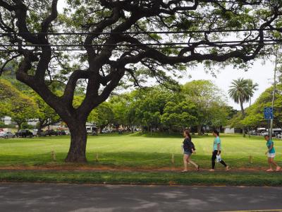 15年ぶり！？HAWAIIはやっぱり楽園でした～DAY1後編～②