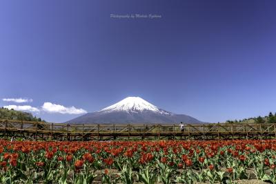 富士山を巡る旅