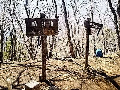 鳴虫山登山