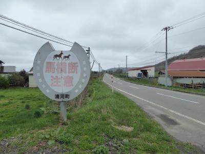 2018年5月　桜と春うにを求めて日高に行きましたが…