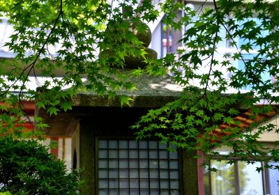 青嵐薫風 苦楽園逍遥（後編）堀江オルゴール博物館・街ある記