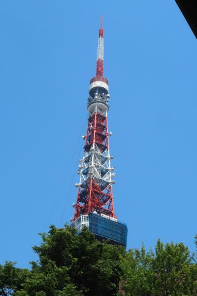 宝珠院　徳川家康公が所蔵していた開運出世大弁財天様と港区重要文化財の閻魔大王様をお祀り。