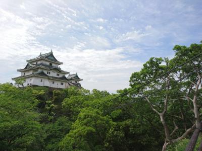 そうだ、和歌山へ行こう♪春の関西1デイパス♪