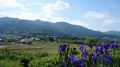 大和郡山で墓参を済ませて風の森神社を参拝他