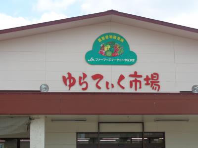 石垣島で避寒　島らっきょ ＆ ハンダマ