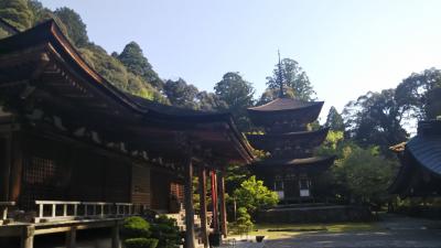 新緑の湖東三山