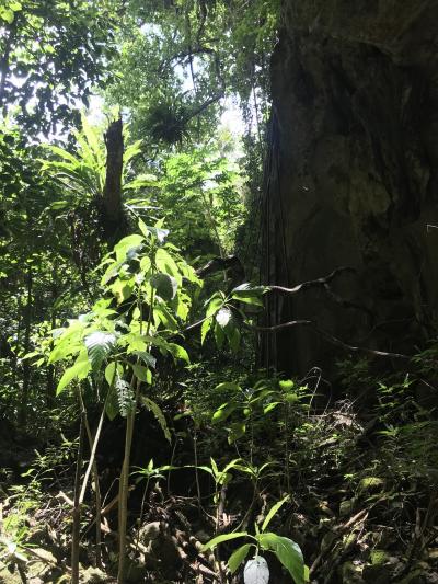 サイパン島、テニアン島3泊4日の旅(day3)