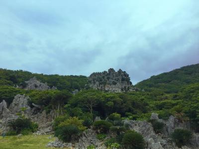 2018GW沖縄家族旅行～その３本島北部編～