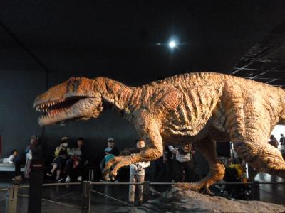 7歳　子連れ 恐竜博物館・永平寺・東尋坊・越前松島水族館