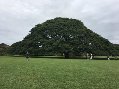 2018GW子連れハワイ旅行②