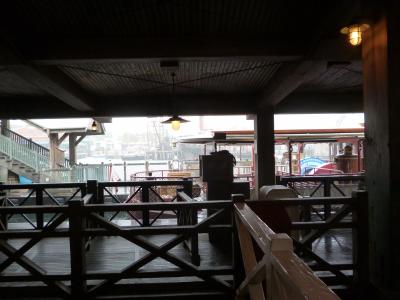 雨でも楽しんでしまった東京ディズニーリゾート②