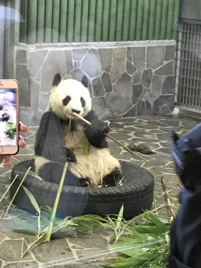 王子動物園