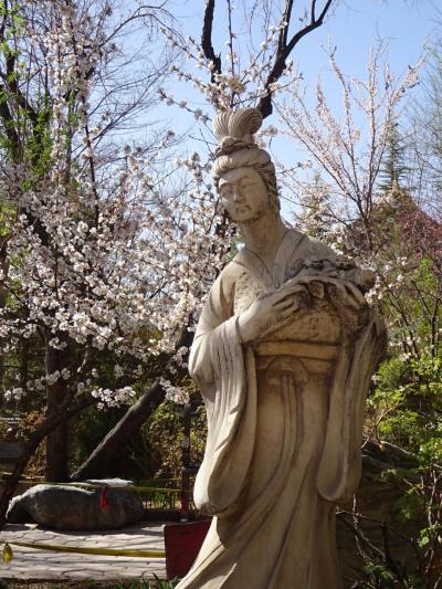 2018年4月 西安インアウトでどこに行きましょう 摩訶不思議姉妹の中国西北部の旅2日目(西寧到着!西寧観光)