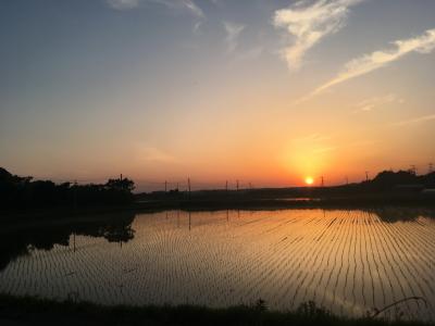 鹿島神宮と潮来