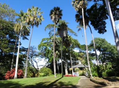 ハワイの休日・長いようで短かった２３日間　初めて訪れた「フォスター植物園（FOSTER BOTANICAL GARDEN）」。（2018）