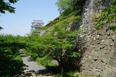 若桜・智頭から津山、美作・佐用、児島・井原線の旅（二日目）～桜千本が美しい津山城に本格的な大名庭園衆楽園は、森蘭丸の弟、森忠政が残した誇るべき遺産。城東地区の華麗な街並みに幕末の人材輩出も注目に値するものがあるでしょう～