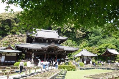 奈良　山の辺の道をあるく（その前に宇治に寄り道）