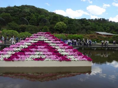 関東花の旅