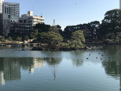 東京日帰り一人旅   ☆増上寺～芝離宮庭園