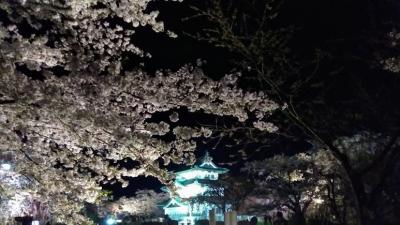 見逃した桜を追って1日目-弘前-