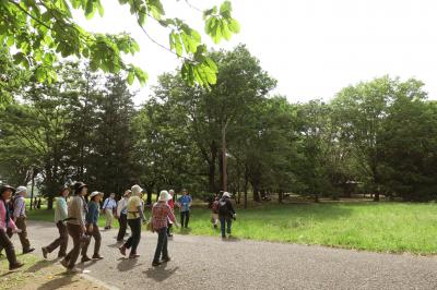 Japan　昭和記念公園　毎週火曜日の自然観察ツアー　～ミツバチばあやの冒険～
