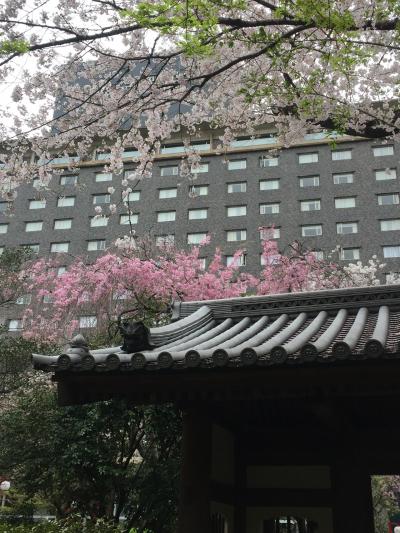 おひとりさまホテルステイ～日本庭園が素晴らしい都心にいることを忘れさせてくれるホテル