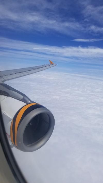 タイガーエア台湾 関西→台北桃園 搭乗記