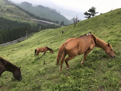 lrg_11356997.jpg?updated_at=