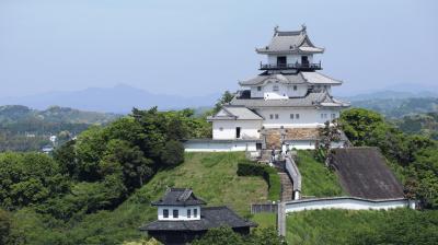 掛川城を外から眺め　美味しいメロンと　浜松餃子を食べる