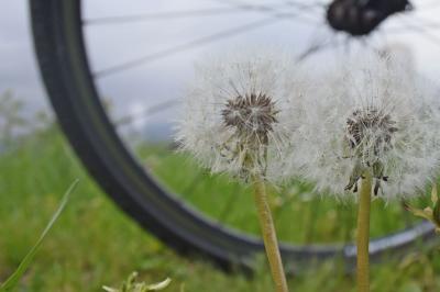 自転車でGO！ 2018.04.16 =沼津・清水町まで53km走って来ました=