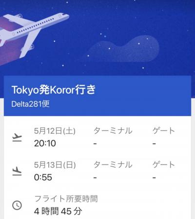 ソロトラベラー（パラオ共和国・成田国際空港出国編）♯124