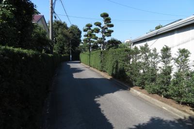 柏尾道を歩く2017-前篇