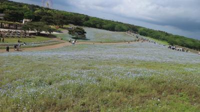 日立海浜公園と東国三社(鹿島神宮、息栖神社、香取神社)を見に行きたくて。