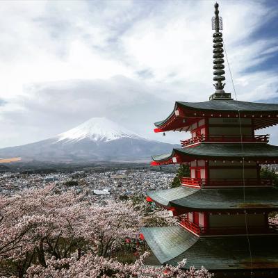 長野・山梨・神奈川　日本百名城とお花見の旅　２日目