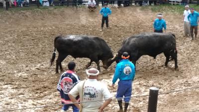 四季を通して楽しむ湯沢＜ＧＷ編＞/Enjoying Echigo Yuzawa through a year <Golden Week>