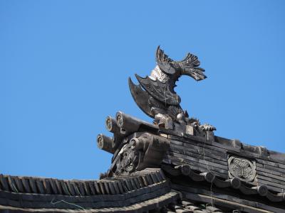 浄珠院　三河一向一揆の際　家康公の陣となった寺。松平家・徳川家ゆかりの古刹　絶対に訪れたかった地!