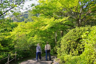 海と山の春を感じて