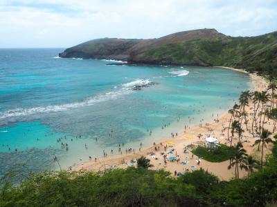 15年ぶり！？HAWAIIはやっぱり楽園でした～ハナウマ湾で魚と遊ぶ③