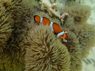 子連れで沖縄へ行こう！　2018　Vol.5 