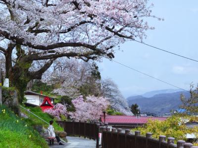 花のやまがた・かみのやま花回廊