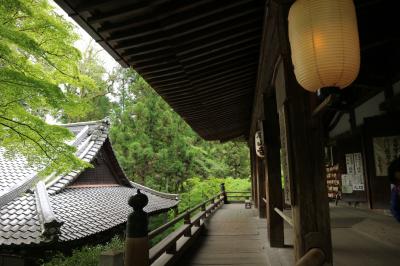 石山寺 「石山寺・三井寺 あお若葉の競演」にのせられてみた