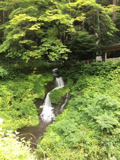 小野上温泉_Onogami Onsen　箱島湧水とホタル乱舞！有名温泉地の間にある泉質良好な梅雨の穴場