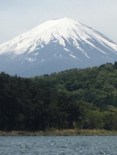 ザ、アメリカ人は、やはり、富士山がお好き。YOUは   どこ行く日本で？第1弾