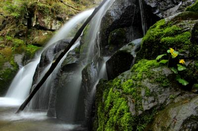 ◆新緑薫る羽鳥湖高原・明神滝＆立矢川の滝