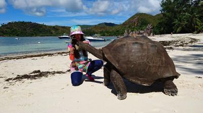 憧れのセーシェル個人旅行♪