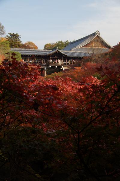 京の花街漂流