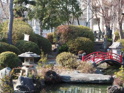  観音寺 三河　松平家城主光親子孫代々、家運長久の祈願所。西国三十三所霊場　砂踏霊場にびっくり!